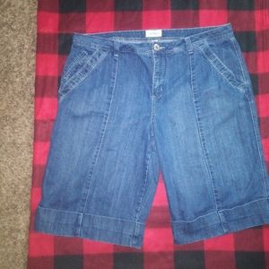 Venezia Denim shorts
